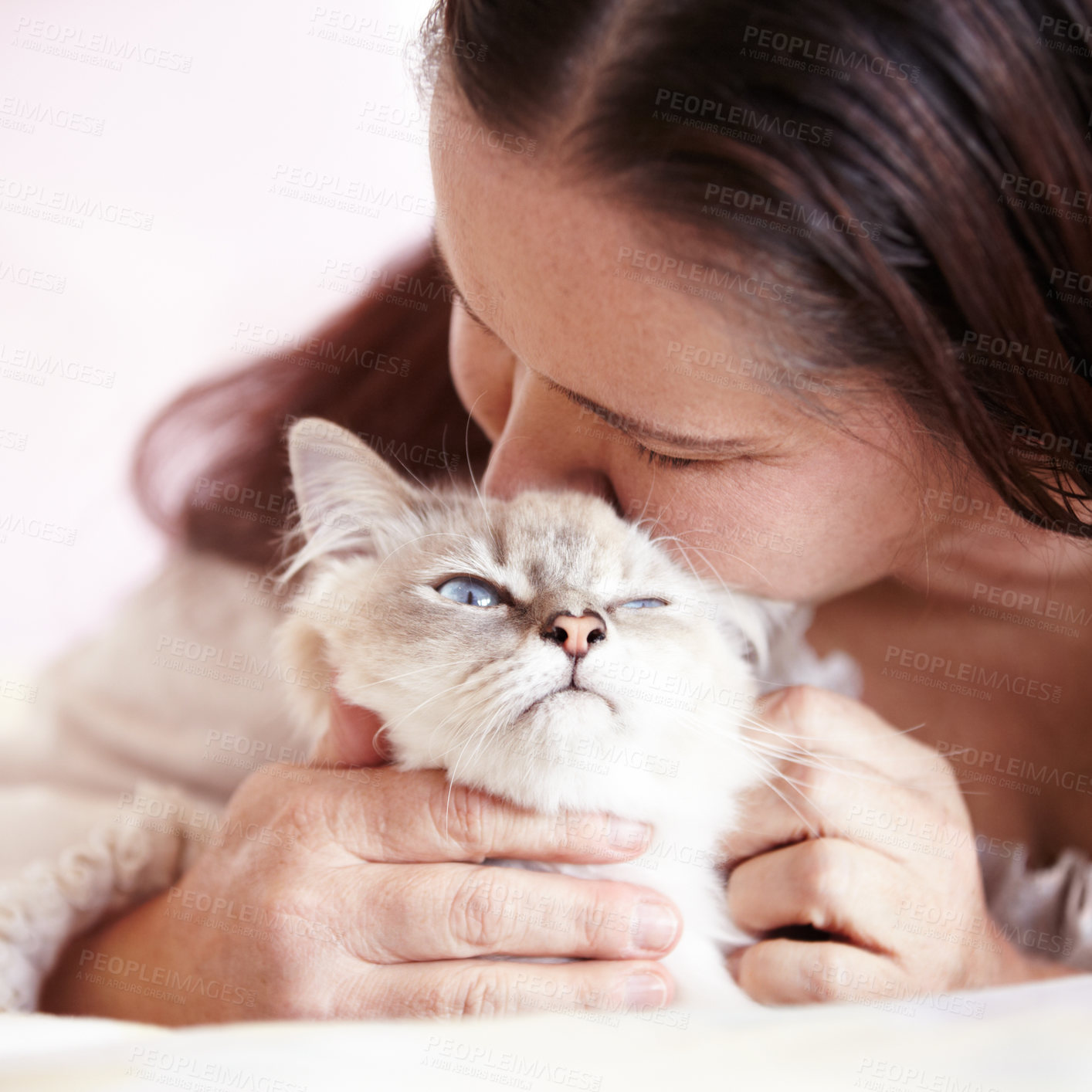 Buy stock photo Woman, kiss and love cat in portrait with pet, care and support in home with healthy animal. Persian, kitten and person bonding with rescue or foster kitty on bed or couch in house with affection