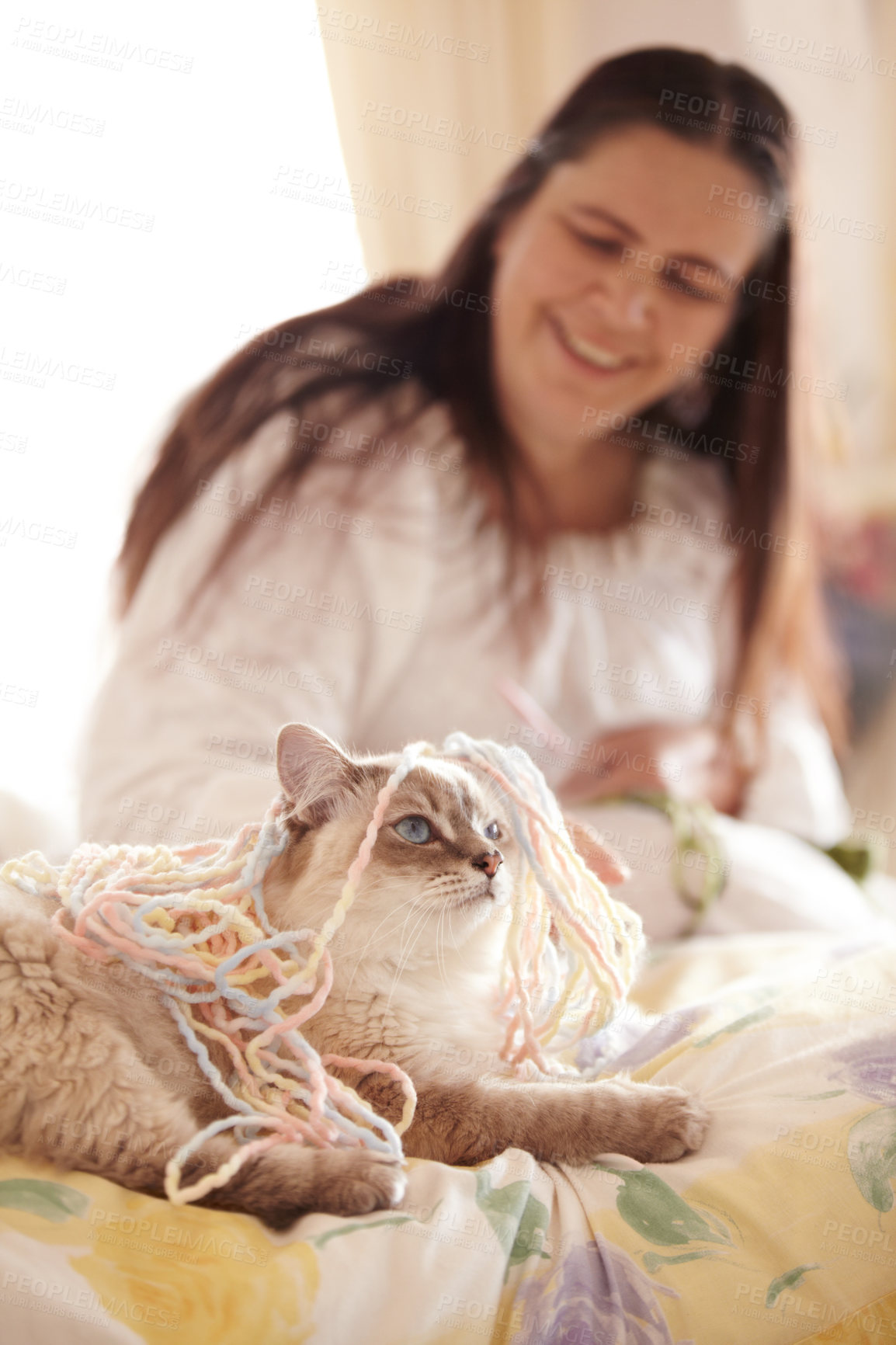 Buy stock photo Cat, playing and woman with wool in home for knitting, activity or fun game for pet. Happy, person and kitten with yarn, string and funny toy in living room with owner laughing and smiling at kitty