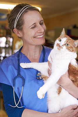 Buy stock photo Veterinary, woman and holding cat with smile for healthcare, consultation or health examination at clinic or hospital. Medical, animal or doctor with happiness for wellness, checkup or vaccine at vet