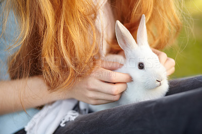 Buy stock photo Cropped view of a young girl with a white rabbit on her lap