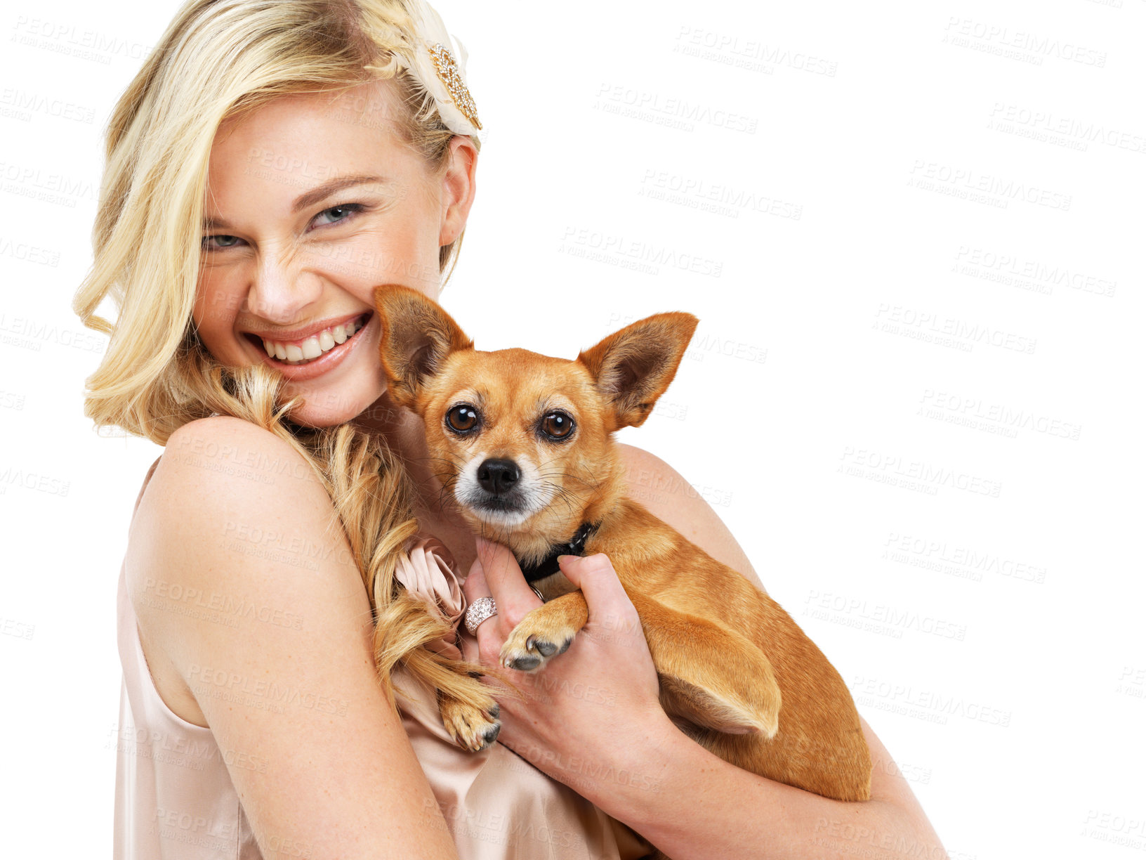 Buy stock photo Portrait, elegant and a woman with her dog in studio isolated on white background for love or friendship. Smile, fashion and classy with a happy young model holding her pet puppy at a party or event
