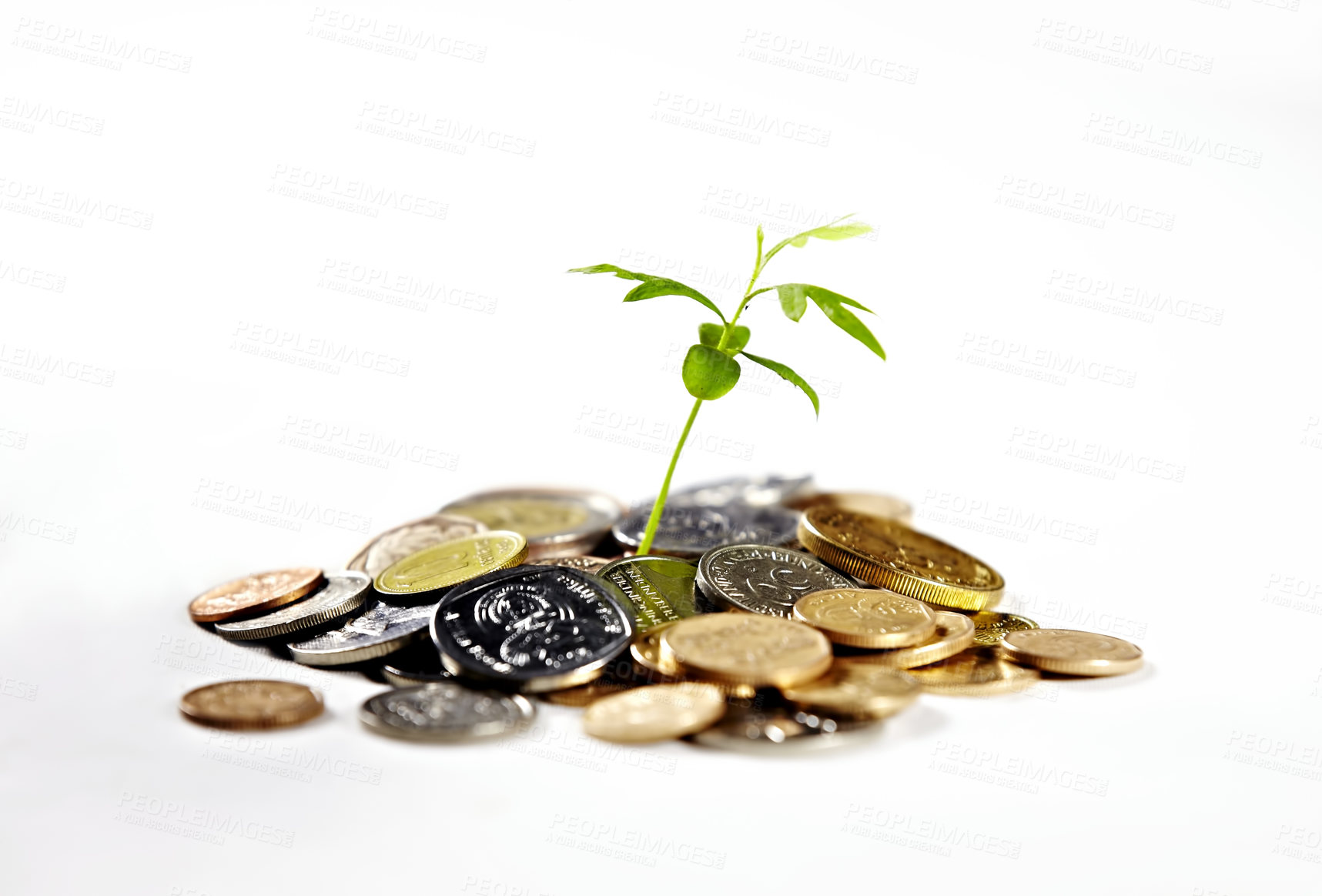 Buy stock photo Money, savings and a plant for growth of cash, financial wealth and change on a white background. Studio, future and plants with coin for investment, banking or finance progress for banking and loan