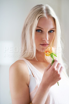 Buy stock photo Portrait, woman and holding of flower in bedroom for romance with headshot in Norway. Female person, looking and hand with rose for love, trust or care in relationship for growth, bond and partner 