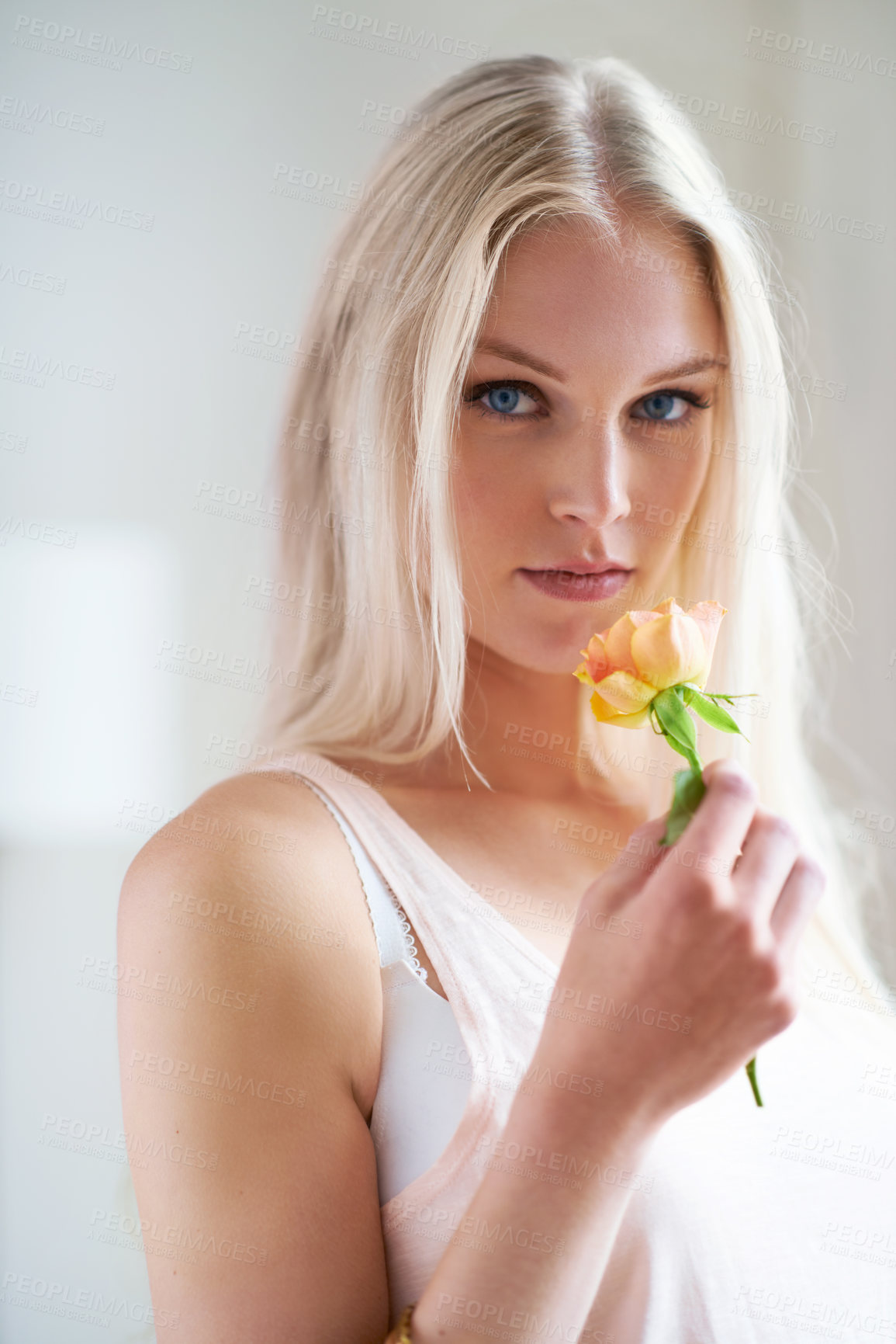 Buy stock photo Portrait, woman and holding of flower in bedroom for romance with headshot in Norway. Female person, looking and hand with rose for love, trust or care in relationship for growth, bond and partner 