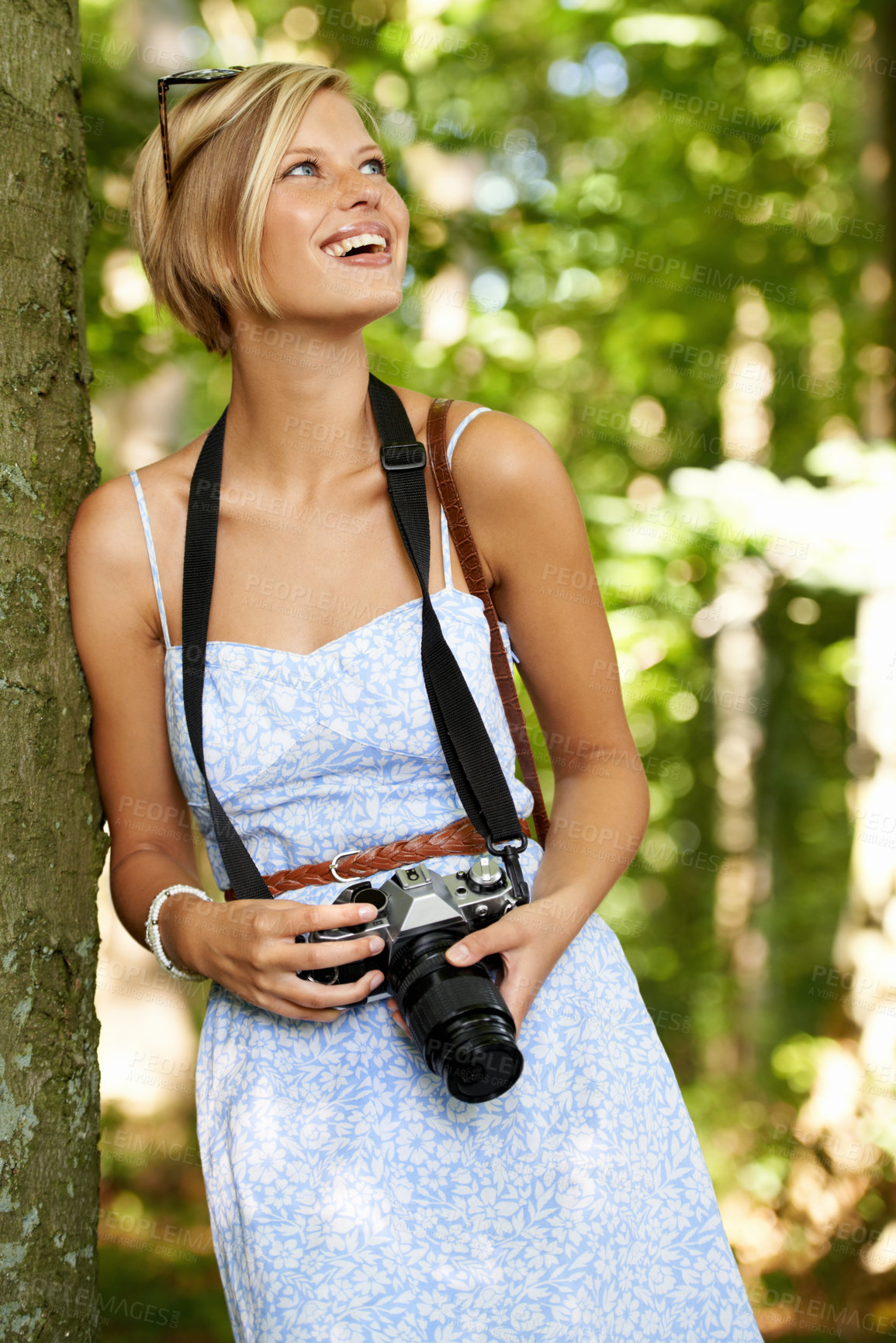 Buy stock photo Happy, nature and photographer with woman in forest for relax, memory or travel photography. Summer, trees and adventure with female person with camera for vacation, holiday and environmental tourism