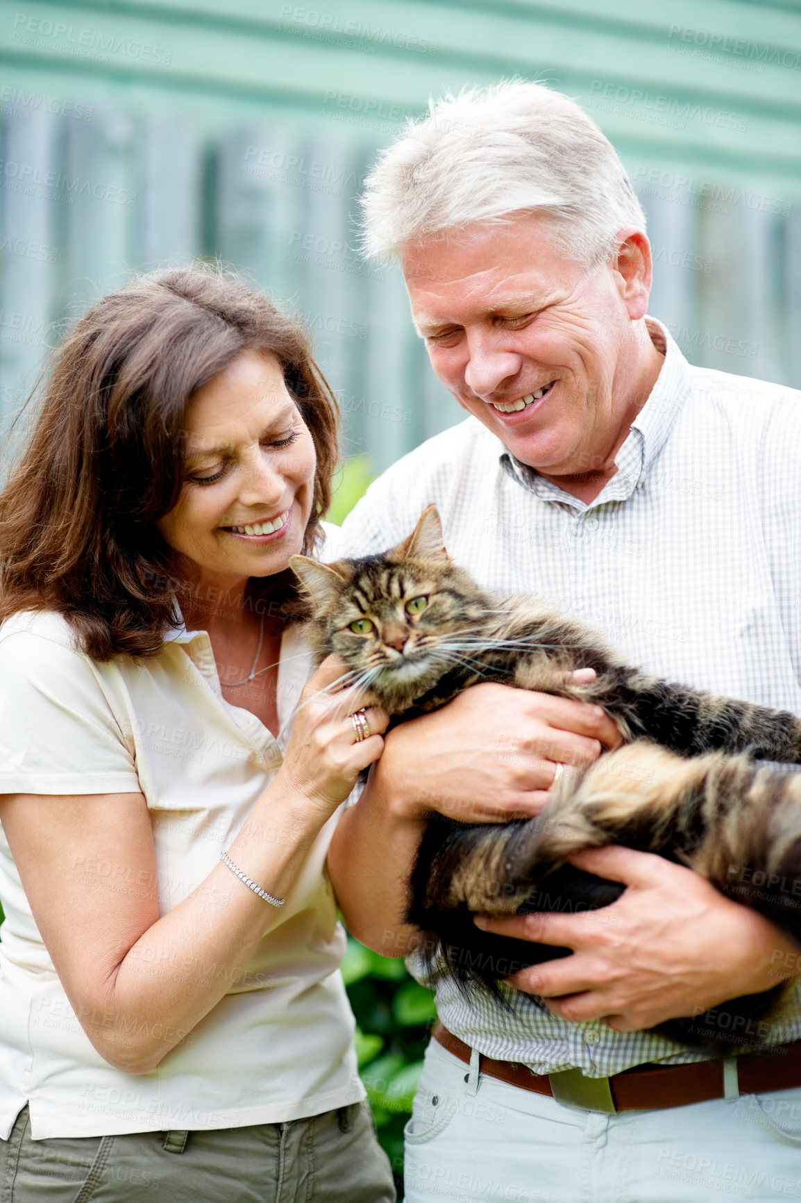 Buy stock photo Cropped shot of a senior couple with their cat outdoors