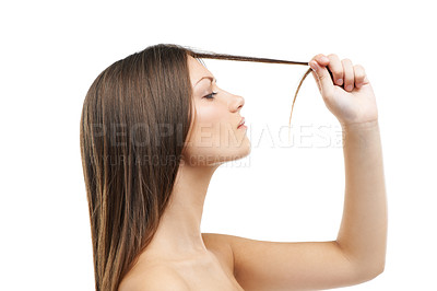 Buy stock photo Woman, hand and hair for split end in studio for damage in mock up on white background in Russia. Female model, hold and checking with worry on face for texture, healthy growth or care in side view