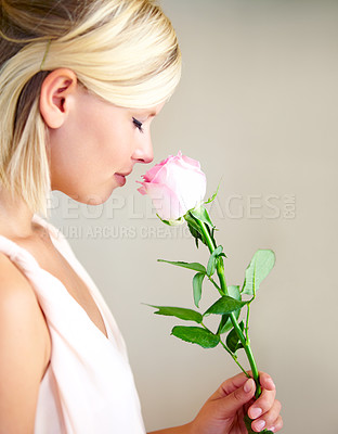 Buy stock photo Profile of a young woman smelling a pink rose