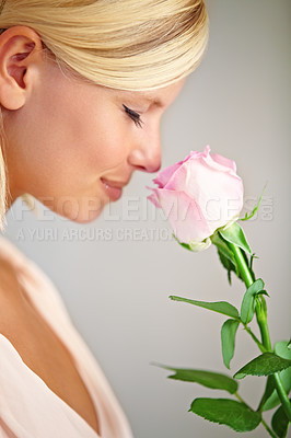Buy stock photo Flower, studio and woman smelling a rose for a sweet blossom fragrance, scent or aroma. Bloom, cosmetic and female model from Australia with a floral for valentines day by a gray background. 