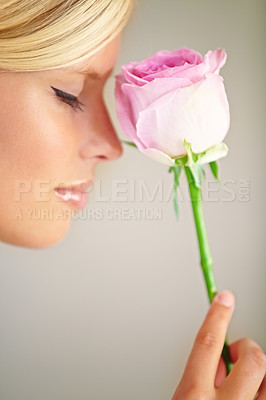 Buy stock photo Flower, romance and woman in a studio with a rose for a fragrance, scent or aroma to smell. Floral, cosmetic and female model from Australia with a natural beauty makeup routine by a gray background.