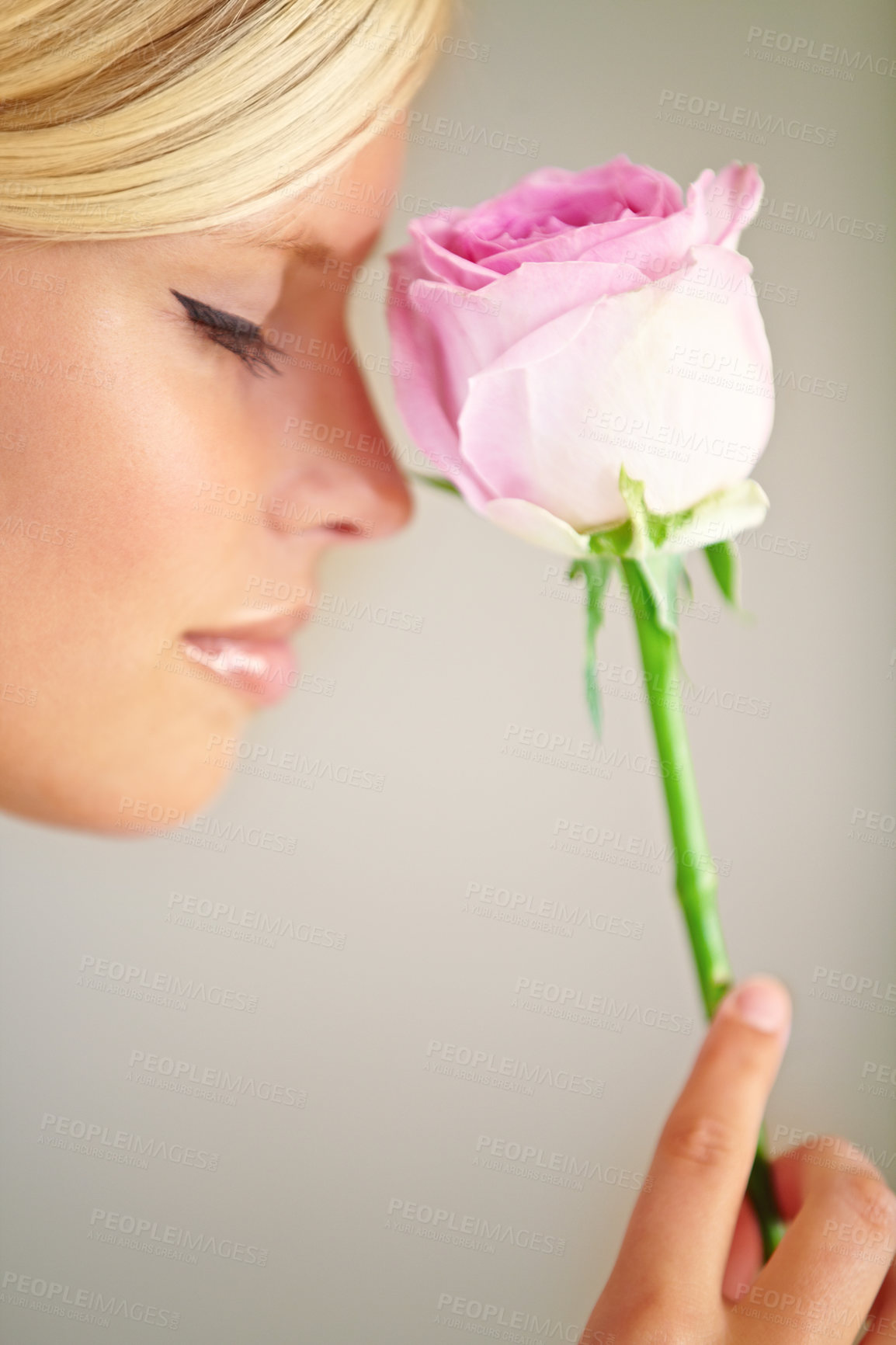 Buy stock photo Flower, romance and woman in a studio with a rose for a fragrance, scent or aroma to smell. Floral, cosmetic and female model from Australia with a natural beauty makeup routine by a gray background.