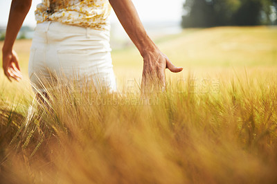 Buy stock photo Closeup, walking or back of woman in a field for freedom in the countryside in spring to relax on break. Hands, wellness or person in garden or farm for fresh air on holiday vacation or nature travel