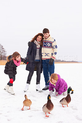 Buy stock photo Shop of a happy couple and their kids playing with geese on a crisp winter's day in the snow