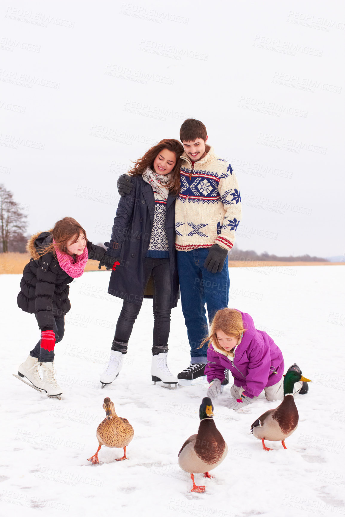 Buy stock photo Shop of a happy couple and their kids playing with geese on a crisp winter's day in the snow