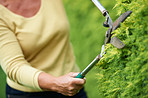 Caring for her garden