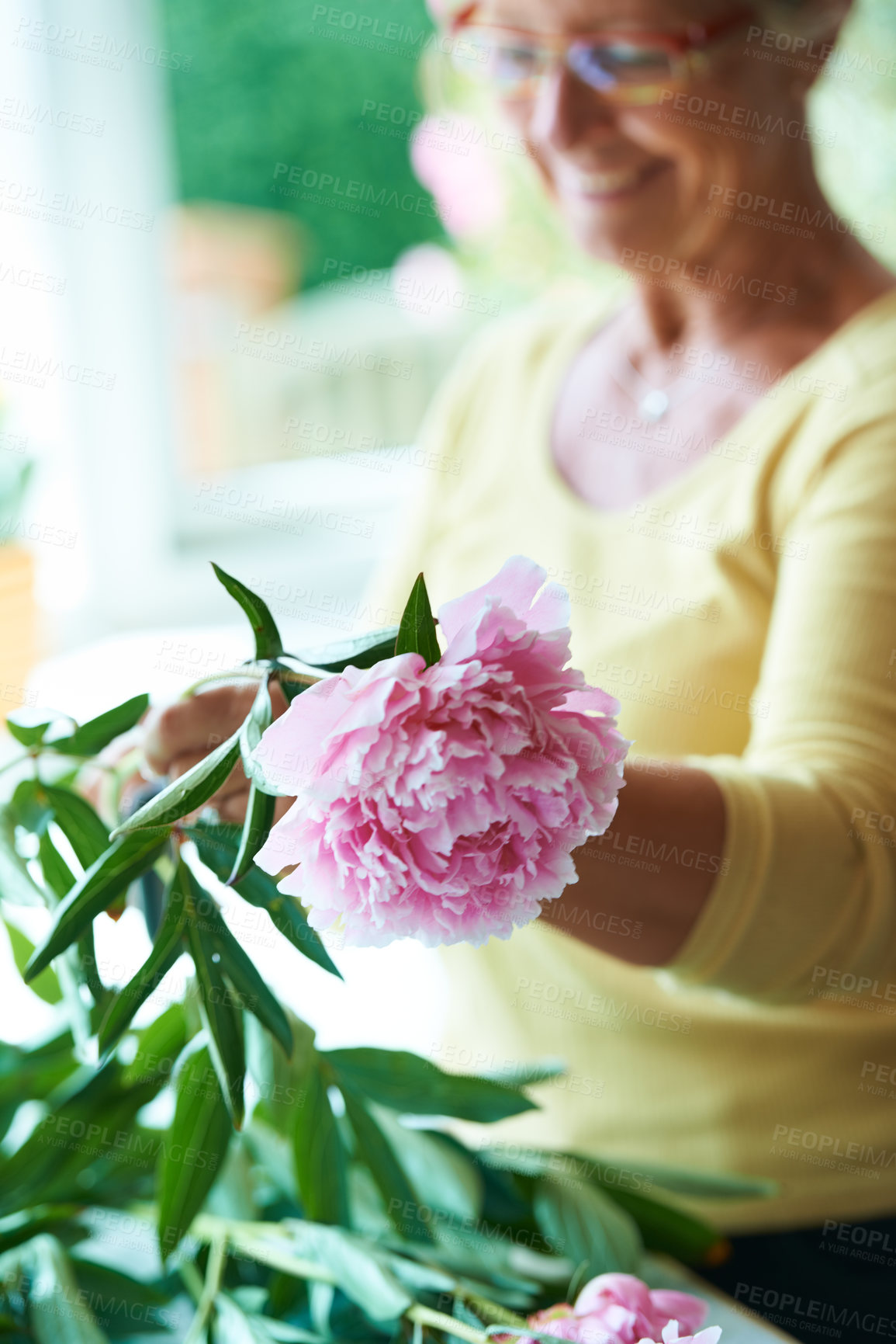 Buy stock photo Elderly, woman and plant for flower in home, outside or backyard for gardening, alone or peace. Senior person, grandmother and glasses with care in wellness, nature or retirement for pruning of peony