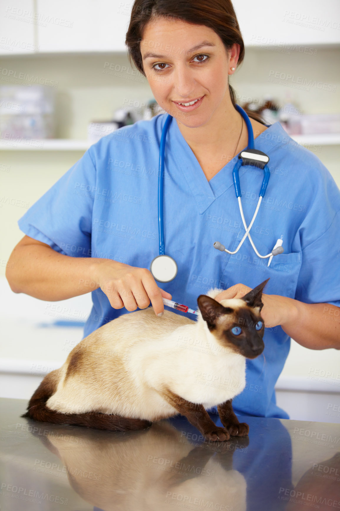 Buy stock photo Injection, doctor portrait or cat at vet or animal healthcare clinic checkup in nursing consultation. Friendly smile, nurse or sick pet or Siamese kitten in veterinary examination or medical vaccine
