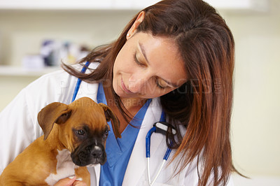 Buy stock photo Hugging, doctor or sick puppy at vet for animal healthcare check up in nursing consultation in office. Affection, nurse or young rescue pet boxer in examination or medical test in veterinary clinic 