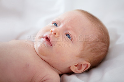 Buy stock photo Face, growth and development with a baby on the bed of a home closeup for purity, innocence or wonder. Kids, curious and rest with a newborn infant child in the bedroom of an apartment from above