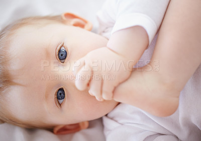 Buy stock photo Closeup portrait of an adorable baby lying down and playing with its feet