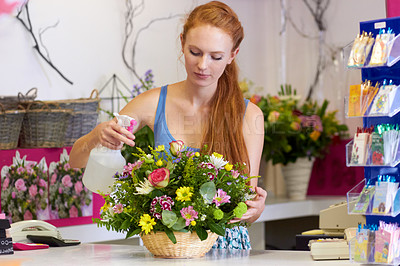 Buy stock photo A young florist spraying water onto a floral arrangement at her shop counter