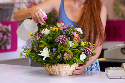 Buy stock photo Cropped shot of a basket of flowers being watered by a florist