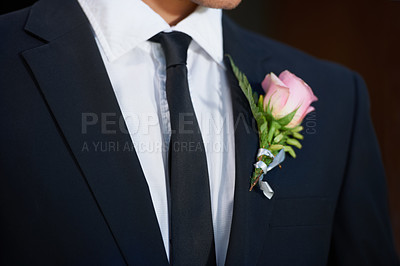 Buy stock photo Closeup, fashion or flower on wedding suit, tuxedo or jacket in marriage clothes, love or event. Person, groom or tie with pink rose, plant or boutonniere in celebration, commitment or romantic style