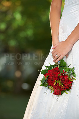 Buy stock photo Woman, hands and wedding rose bouquet with love, commitment and trust ceremony for marriage. Engagement, celebration and flowers for event in a park with a red floral plant and bride dress outdoor