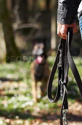 Buy stock photo A closeup of an owner holding a dog's lead