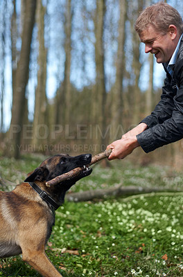 Buy stock photo Man, dog and pull stick in training with smile, play fetch in nature forest with games, exercise or learning. Hand, wood and pet animal with strong bite, happy or outdoor in countryside for health