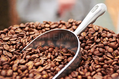 Buy stock photo Coffee beans, dark roast and premium scoop in cafe, restaurant or shop with product. Espresso, store and caffeine blend in a luxury, organic and retail grocer with fresh and raw blend of produce