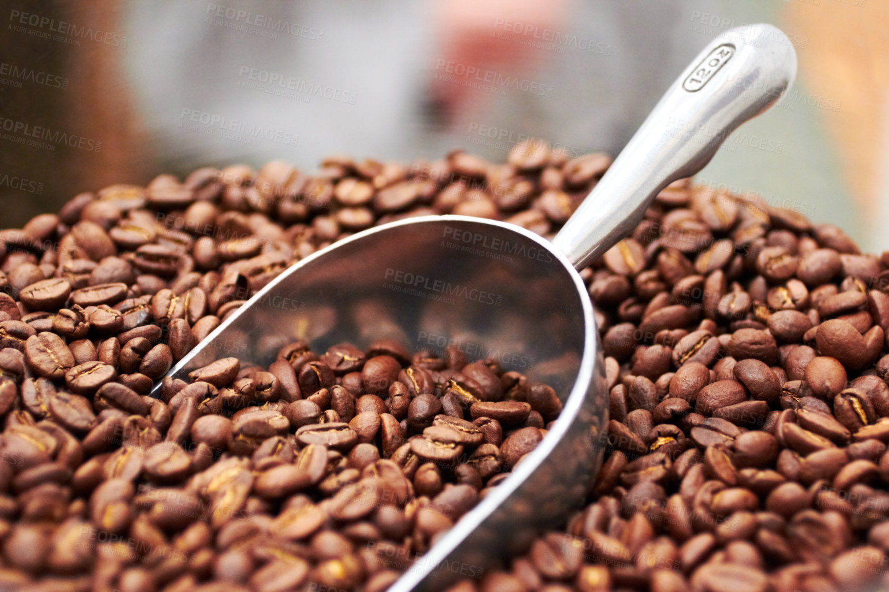 Buy stock photo Coffee beans, dark roast and premium scoop in cafe, restaurant or shop with product. Espresso, store and caffeine blend in a luxury, organic and retail grocer with fresh and raw blend of produce