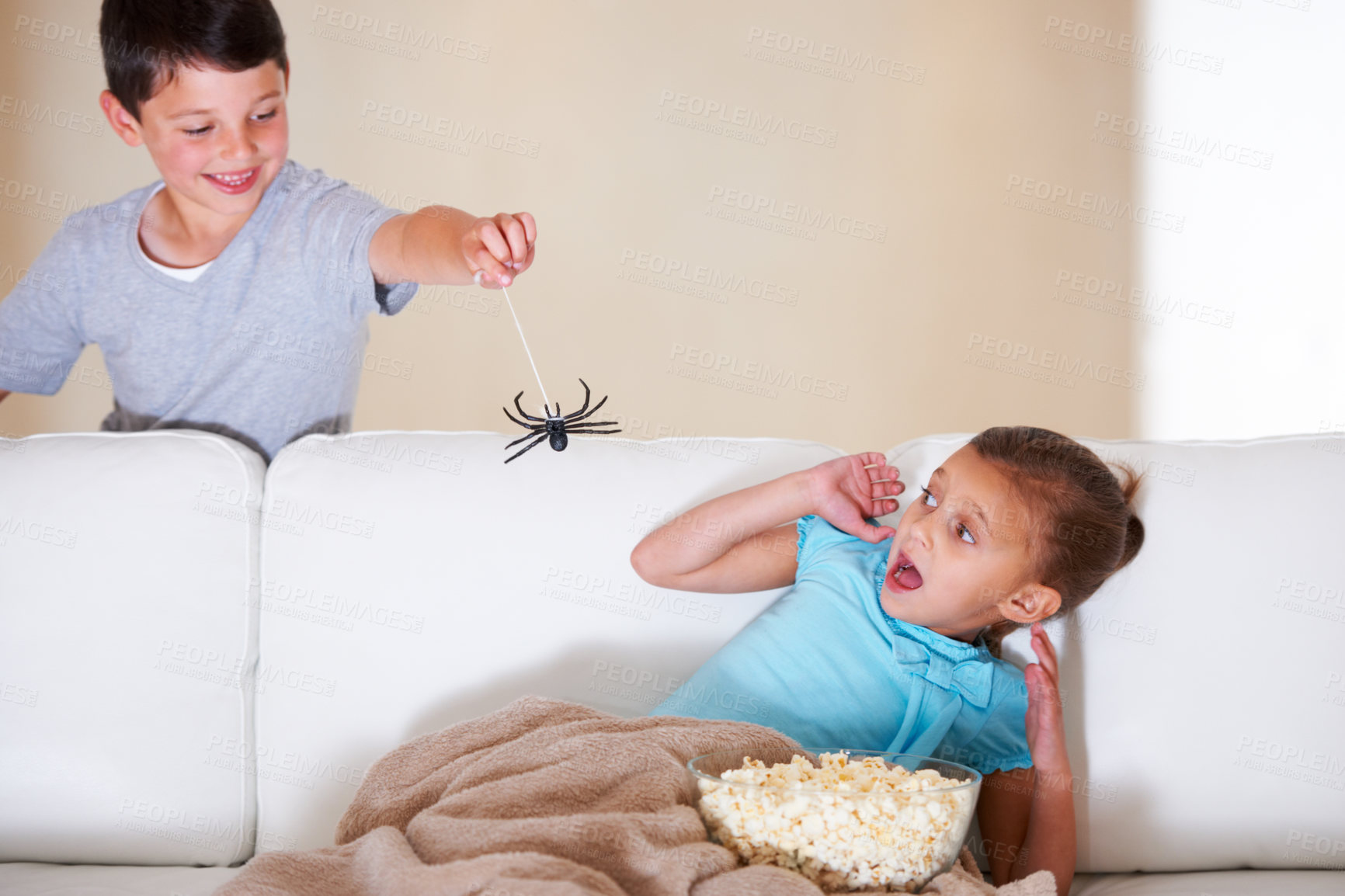 Buy stock photo Mischievous young boy scaring his little sister at Halloween with a rubber spider