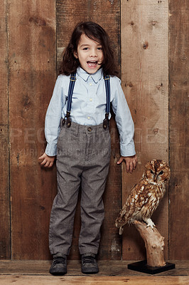 Buy stock photo Shot of a stylish young boy posing next to a stuffed owl
