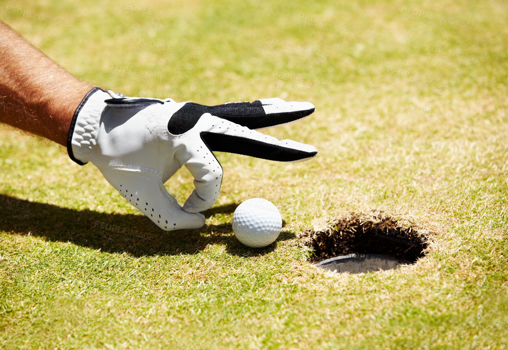 Buy stock photo A golfer about to flick a ball into the hole