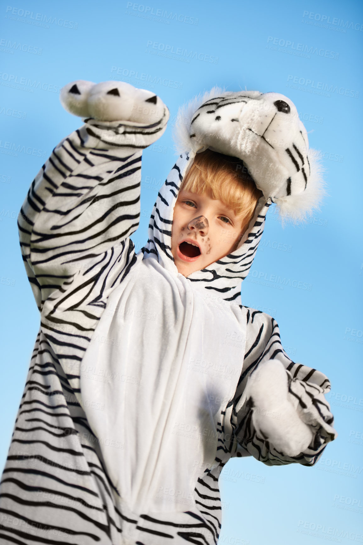 Buy stock photo Child, tiger costume and excited for fun fashion and style on a blue studio background. Cheerful, little boy and animal clothing while playing during halloween tradition and dressing while adorable
