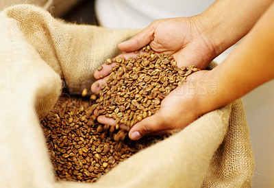Buy stock photo Hands, production and coffee beans in a burlap sack for organic, natural and fresh caffeine. Industry, grain and closeup of a barista with raw ingredient to produce espresso or cappuccino in a cafe.