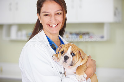 Buy stock photo Woman vet, puppy and hospital portrait with smile, care and love for health, wellness or growth. Female veterinarian, doctor and dog with hug, happiness and healthcare in clinic for medical attention