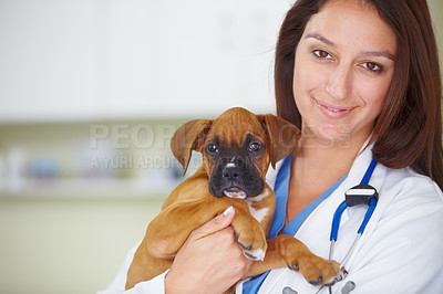 Buy stock photo Portrait of a pretty smiling vet holding a puppy and smiling at the camera