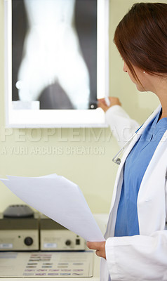 Buy stock photo Woman, veterinarian and nurse with xray of animal for examination, tests or diagnosis on injury at vet. Female person, doctor or medical pet professional looking at CT scan or MRI for clinic checkup