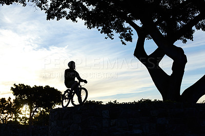 Buy stock photo Nature, silhouette and man riding a bicycle in a field for fitness, health and wellness  exercise. Sports, workout and shadow of a male cyclist athlete cycling on a bike in an outdoor garden or park.