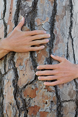 Buy stock photo Closeup, tree and person with a hug, protection and natural care with sustainability, environment and green energy. Zoom, human and nature lover with embrace, support the planet and eco friendly