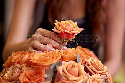 Buy stock photo Closeup, hands and woman with flowers, entrepreneur and prepare order for a customer, nature and bouquet. Zoom, female person or business owner with plants, floral arrangement or florist with startup
