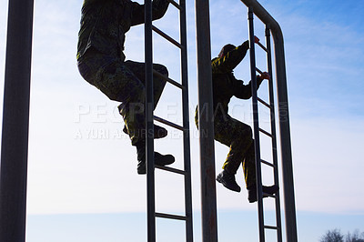 Buy stock photo Soldier in training, military men and climbing a ladder in obstacle course for fitness and endurance. Army team in camouflage uniform outdoor, train for war and exercise with mission and action