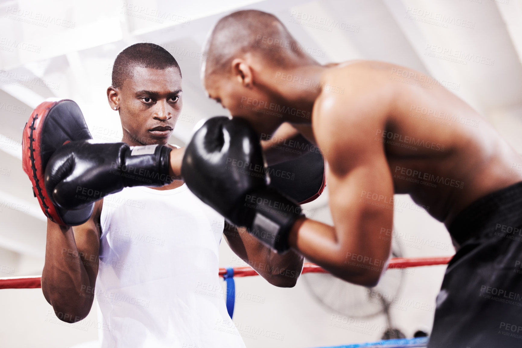 Buy stock photo Black man, boxer and personal trainer in ring fight at gym for workout, exercise or self defense training together. African male person with boxing or sparing partner preparing for sports competition