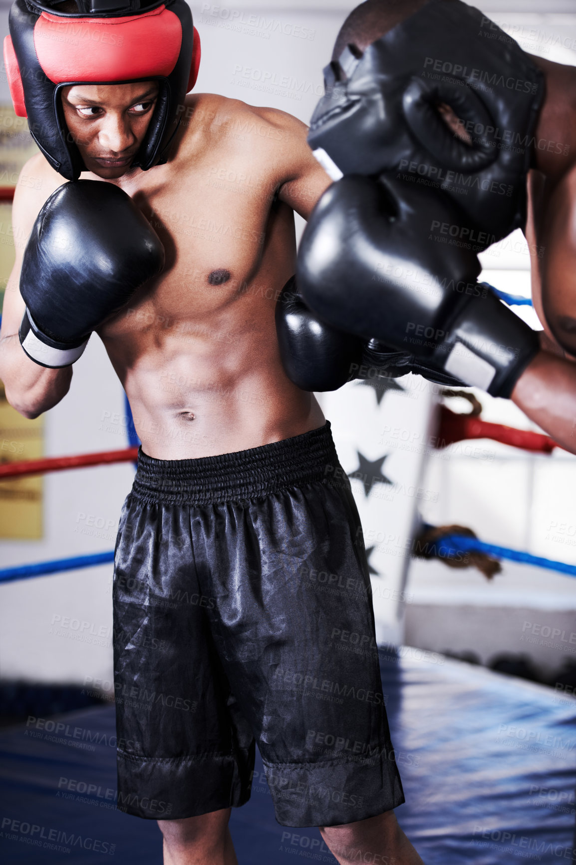 Buy stock photo Boxing, man and sparring partner in ring together with headgear, gloves and fitness, power training, challenge. Strong body, fighting hit and boxer in helmet, fearless and confident in competition.