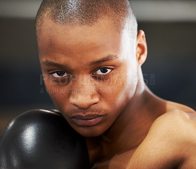 Buy stock photo Boxing, gloves and portrait of fearless black man training with fitness, power and workout challenge. Strong body, muscle and boxer in gym, athlete with fist up and confidence in competition fighting
