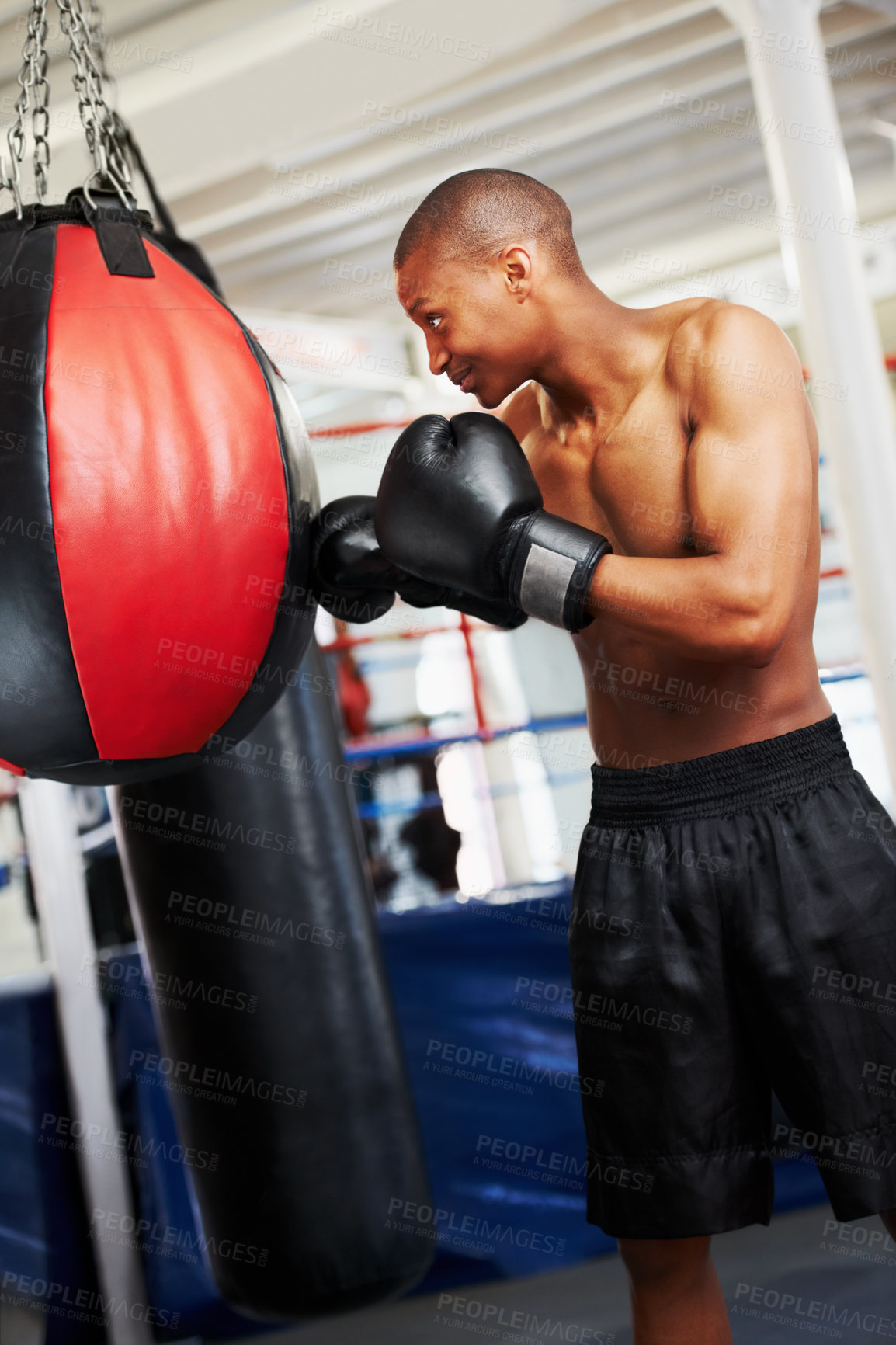 Buy stock photo Black man, boxing and punching bag at gym for workout, exercise or self defense practice in fighting sport. African male person or boxer with gloves for indoor training or martial arts at health club