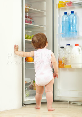 Buy stock photo Shot of a toddler eating food from the fridge