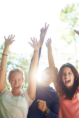 Buy stock photo Portrait, outdoor and friends with party, happiness and social event with music festival, celebration and summer. Face, people or group with lens flare, sunshine or weekend break with joy or cheerful
